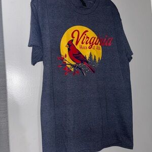 Gray Virginia Graphic T-Shirt